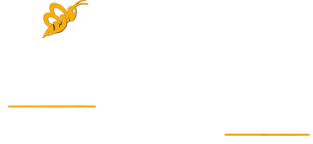 Webeedream Technologies Logo